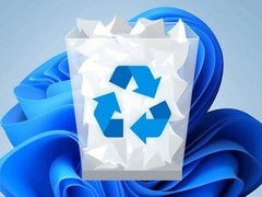 海外玩家十年未清回收站，积压302GB文件引热议