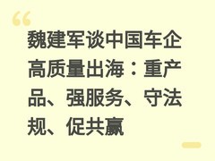 魏建军谈中国车企高质量出海：重产品、强服务、守法规、促共赢