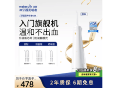 Waterpik小云朵GS8冲牙器307元