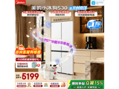美的小冰狗冰箱优惠购，低至3729元