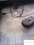 鼠标插上不亮？快速解决方法