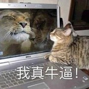 末日来袭：全S阵容搭配推荐