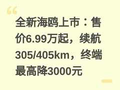 全新海鸥上市：售价6.99万起，续航305/405km，终端最高降3000元
