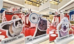 石头P20 Max线下快闪持续进行中：以科技之力，做养宠家庭的专属清洁搭子