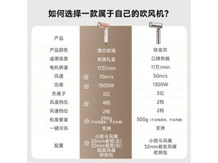 追觅P10 Pro负离子便携吹风机