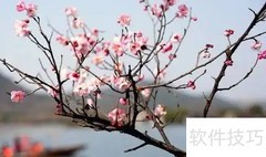 湘湖梅花观赏地点指南