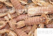 虾饲料销售技巧全解析