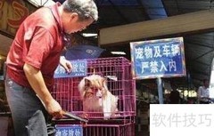宠物寄存流程指南