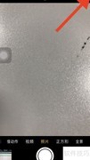 苹果屏现小绿点原因揭秘