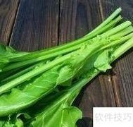 根达菜的美味吃法推荐