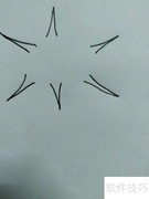 甲壳茧绘画步骤详解