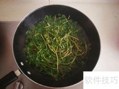 凉拌马齿苋做法详解