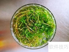 凉拌马齿苋做法详解