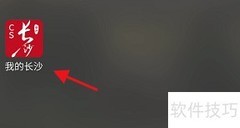 我的长沙APP查企业项目