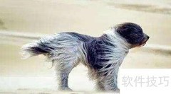 大风如何吹动ABB
