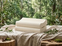 天然乳胶枕十大品牌实测排行：含量、工艺与认证综合评分推荐（2026）