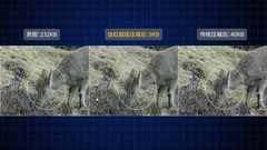 首个卫星物联网商用业务获批：超级压缩，为什么变得至关重要？