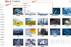Wind查询产业链信息指南