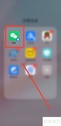 中小学教资成绩查询指南