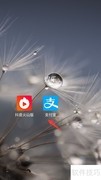 支付宝查教师资格成绩