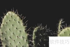 南京英孚：Back搭配用法解析