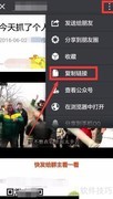 微信网页视频下载方法