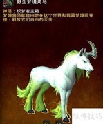炫舞梦幻仙露池位置揭秘