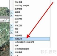 ArcGIS影像校正方法