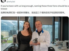 俄企研发鸽脑神经接口，实现信鸽远程导航与环境监测