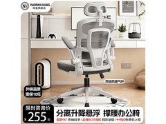 南皇人体工学椅直降百元仅275元