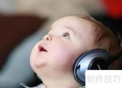 四级复习攻略：高效备考指南