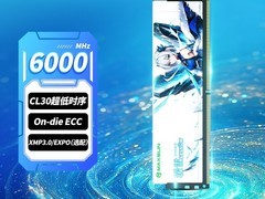 铭瑄DDR5内存条活动价低至961元