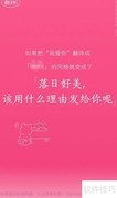 网易云表白翻译机使用指南