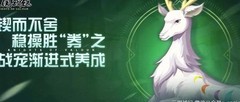 三国战纪：橙宠养成攻略