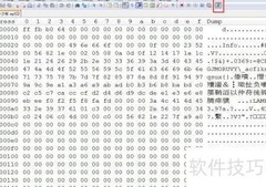 Notepad++如何显示十六进制