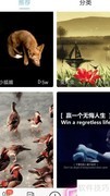 绚铃来电秀设置方法