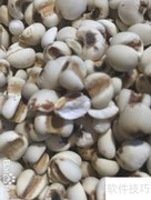 精选薏米选购指南
