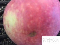 精品苹果挑选指南