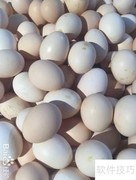 精品鸡蛋挑选指南
