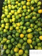 精品柠檬挑选指南