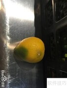 精品柠檬挑选指南