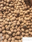 精品核桃挑选指南