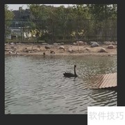 还原真实：图片背景色彩校正技巧