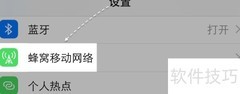 关闭iPhone系统服务流量