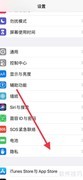 苹果手机进入系统服务方法