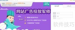 网站统计代码安装指南