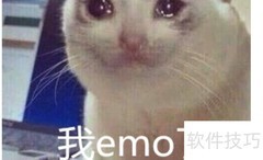 谁带火了emo？