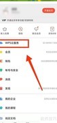 如何查看WPS文件备份