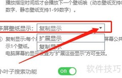 飞火壁纸开启扩展显示