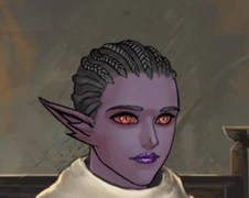 诸神皇冠黑暗精灵特性解析